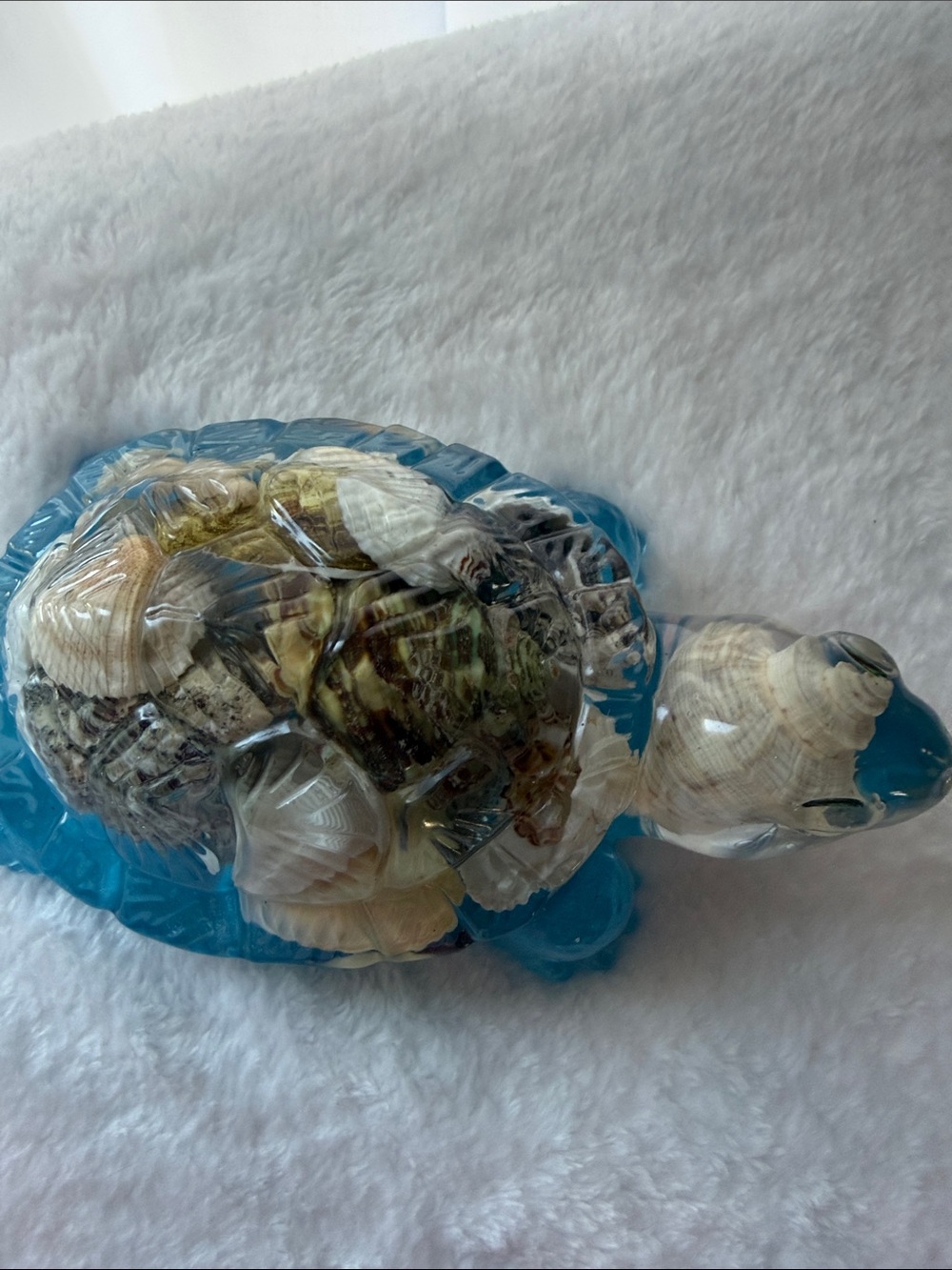Handmade Turtle & Shells with Blue Base - Picture 2 of 5